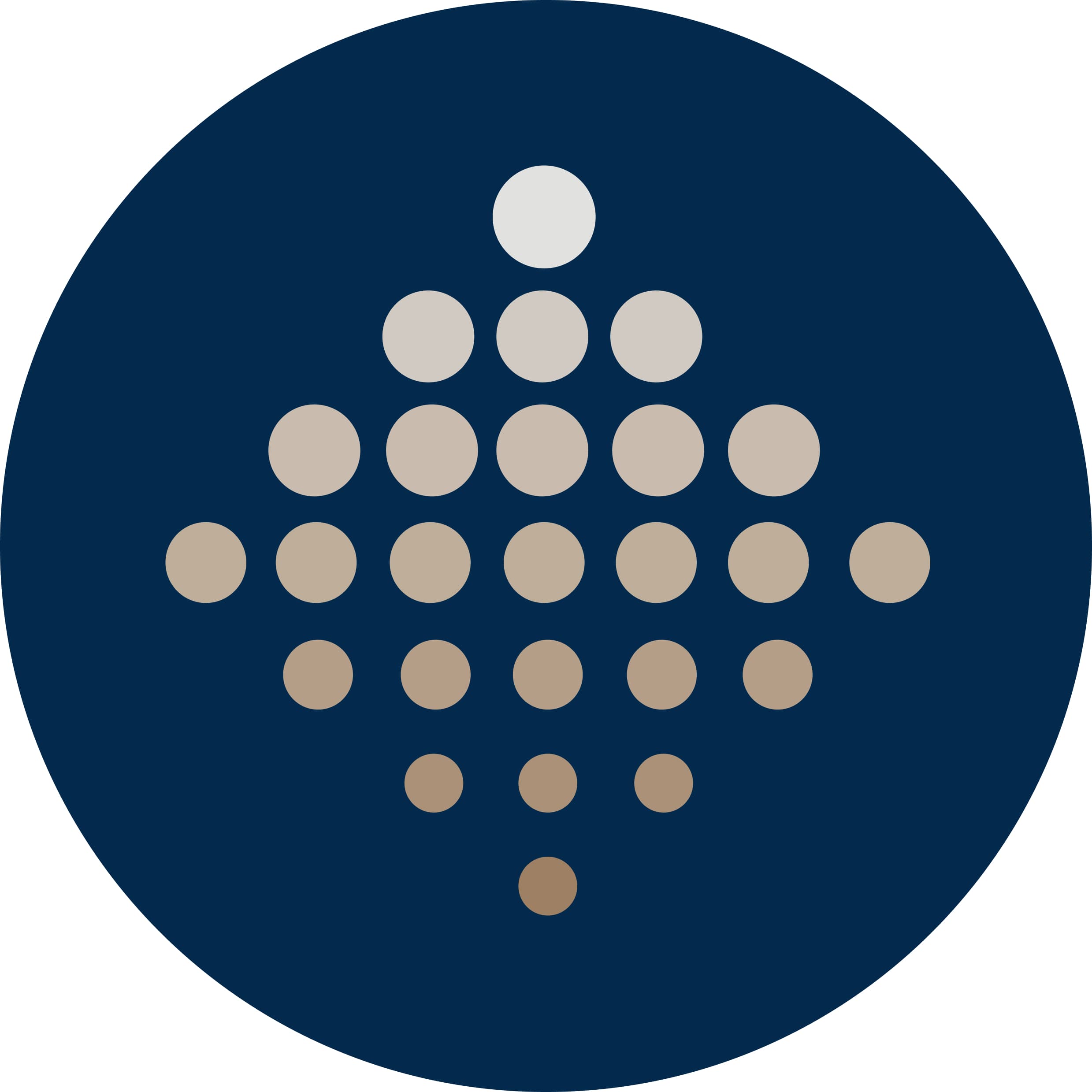 Baeriswyl Beratungen GmbH Logo